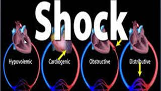 vasopressors and inotropes 2 principles [upl. by Appel626]