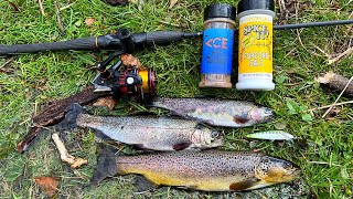 Wild Trout Fishing and Cooking in the Mountains [upl. by Naraj]