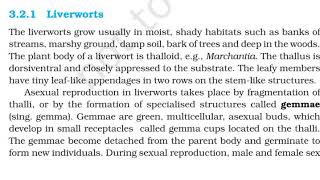 Liverworts  Mosses  Class 11  NCERT Biology [upl. by Lomasi]