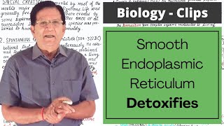 Smooth Endoplasmic Reticulum Detoxifies  Biology Clips [upl. by Colwen406]