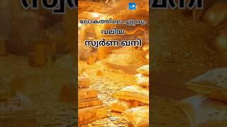 ലോകത്തിലെ ഏറ്റവുംവലിയ സ്വർണ ഖനി  Gold Mine South Africa shorts goldmines short [upl. by Nitsua373]