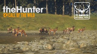 CIERVOS COMUN TheHunter CotW [upl. by Laehcimaj]