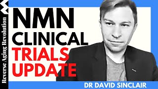 DAVID SINCLAIR quotNMN Clinical Trials Updatequot  Dr David Sinclair Interview Clips [upl. by Storz]