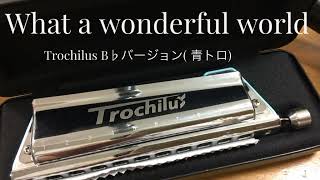 What a wonderful world Trochilus B♭バージョン2nd 吹き比べ用mackyharmonica8693 [upl. by Marella212]