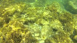 Snorkeling in Cala Galdana Menorca [upl. by Nolra832]