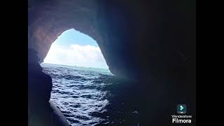 Carvoeiro🐬 dolphin boat trip amp visit to benjali caves with Capitão Nemo ☆☆☆☆☆ [upl. by Ku241]