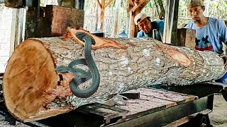 amazing discovery of old mahogany log full of dense fibers at sawmill [upl. by Erodisi117]