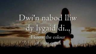 Dy Lygaid Di  Gwyneth Glyn geiriau  lyrics [upl. by Yrac]