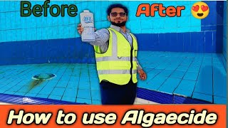 How to use Algaecide in pool  algaecide pool treatment in Hindi [upl. by Eldnek]