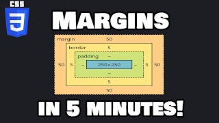 Learn CSS margins in 5 minutes ↔️ [upl. by Adnuhs]