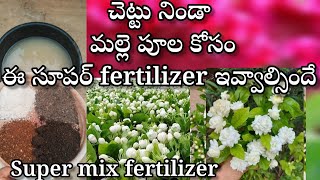 super mix fertilizer for Jasmine plant  get more flowers on Jasmine plant [upl. by Cilla]