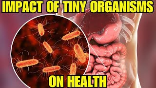 quotYour Gut Microbiome The Hidden Key to Healthquot [upl. by Qulllon496]