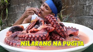 NILARANG NA PUGITA [upl. by Kyne]