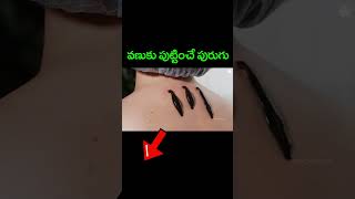 leech telugufacts telugu leech animal videos in telugu [upl. by Wetzell]