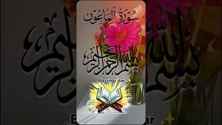 Quran recitation of surahAlMaon  beautiful voice I love ALLAH ❤️  blessings star ✨ [upl. by Ahsiyt938]