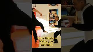 Wie die Wirkung in Aktion aussieht brucelee jeetkunedo kampfkunst gießen [upl. by Demetra]