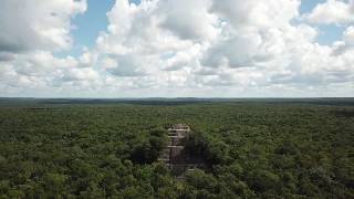 Calakmul ruins Mexico 4K Drone カラクムル遺跡 [upl. by Browne]