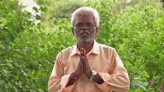 Thazhuthaalai  Plant  your herbal garden  Poovali  News7 Tamil [upl. by Wilonah122]