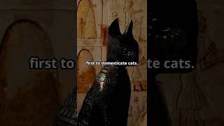 Cats in Ancient Egypt epichistory ancientcivilization facts history egypt egyptian cat cats [upl. by Topping]