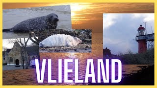 Vlieland  A Complete Impression in 4 minutes [upl. by Aciretahs]