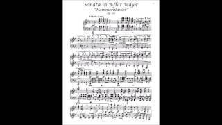 Beethoven Piano Sonata No 29 1st Mov Op 106 HammerKlavier [upl. by Shaun]