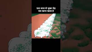 100 साल से भूखा भेड़ जब खाना खाता है 😂। Funny cartoon funny explanation memes [upl. by Fromma150]