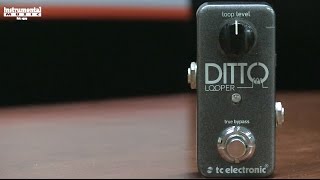 TC Electronic Ditto Looper Bass Demo [upl. by Einnov825]