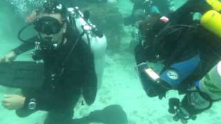 Rebreather Diving Thailand Koh Tao Phuket and Similan Islands [upl. by Llorre]