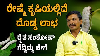 How Profitable is Sericulture Sericulture Complete Details in Kannada  Learn From Santhosh [upl. by Lynnworth]