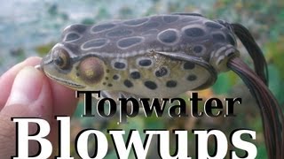 Big Topwater Frog Blowups in HD Hat Cam Bass [upl. by Yanttirb]