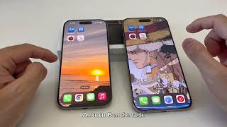 iPhone 16 Pro vs iPhone 16 Pro Max Ultimate Benchmark Test  Geekbench Antutu 3DMark [upl. by Lrigybab]