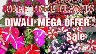 Diwali offer sale new plants sale Free plantmalayalam online [upl. by Anilosi52]