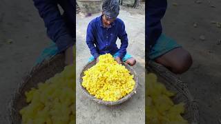 Silk Threads Making Process [upl. by Llednor]