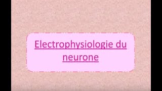 Lélectrophysiologie du neurone simple et facile [upl. by Naugal]