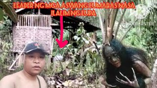 SA WAKAS NAABOTAN KONA ANG MATANDANG ASWANG LUMABAS SA ILALIM NG LUPAANG PAGTUTOOS [upl. by Vento904]