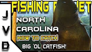 Fishing Planet Tips  How to Catch Catfish  Big ol Flatheads  Neherrin River North Carolina [upl. by Nishom]