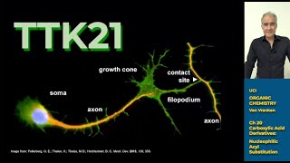 Organic Chemistry III Lec 16 [upl. by Ahsimrac]