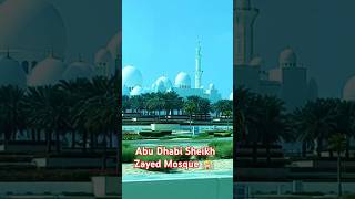 Beutiful Sheikh Zayed Mosque 🕌 Abu Dhabi 🇦🇪 shorts shortvideo viralvideo sheikhzayedmosque mosq [upl. by Enyamrahs]