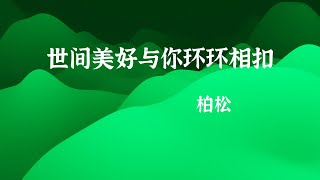 柏松《世间美好与你环环相扣》 动态特效歌词 无损极致音质 [upl. by Merline321]