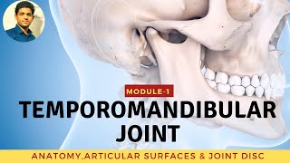 TEMPOROMANDIBULAR JOINT Anatomy amp Biomechanics [upl. by Anaek]