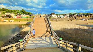 Walking from Iwakuni Castle Town where Japanese samurai walked to the view of Kintai Bridge [upl. by Eniala]