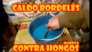 FUNGICIDA CALDO BORDELÉS  quotCÓMO PREPARARLO Y APLICARLOquot HUERTA ORGÁNICA [upl. by Niamreg677]