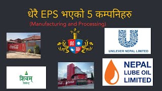 Top 5 Companies in Nepal  Having More EPS  Manufacturing and Processing  Nepse Daily Update [upl. by Dylana591]