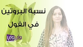 نسبة البروتين في الفول [upl. by Thanh]