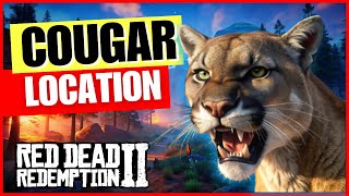 Cougar Location RDR2 Online [upl. by Nuhsal]