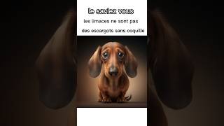 Vous le saviez vous foryou trending humour memes [upl. by Peters]