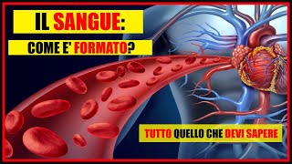 Il Sangue Cosè e da quali cellule è composto Globuli rossi bianchi piastrine e il plasma [upl. by Clive]