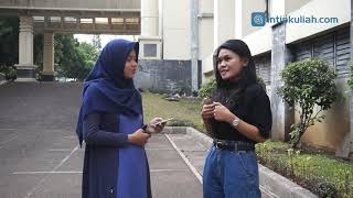 Pengalaman Kuliah Tara di Pend Bahasa Perancis UPI [upl. by Iem]