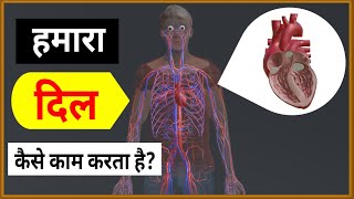 हमारा दिल कैसे काम करता है  How does our Heart work  3D Animation 🔥🔥🔥 [upl. by Yllom279]