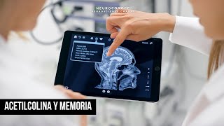 Acetilcolina El secreto detrás de la Memoria el Aprendizaje y la Atención [upl. by Ahsenom457]